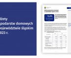 Budżety gospodarstw domowych w województwie śląskim w 2023 r. Foto
