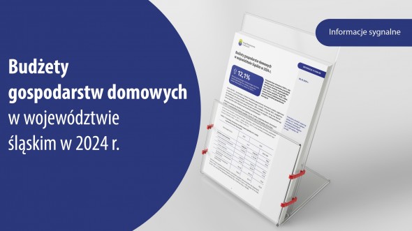 Budżety gospodarstw domowych w województwie śląskim w 2024 r. - 1 strona