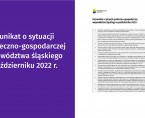 Komunikat o sytuacji społeczno-gospodarczej województwa śląskiego w październiku 2022 r. Foto