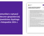 Komunikat o sytuacji społeczno-gospodarczej województwa śląskiego w listopadzie 2024 r. Foto