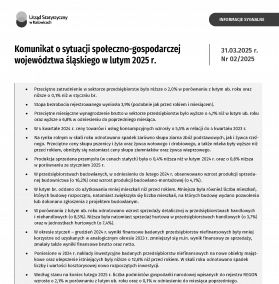 Komunikat o sytuacji społeczno-gospodarczej województwa śląskiego w lutym 2025 r. - okładka