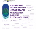 Wybrane dane krótkookresowe o powiatach województwa śląskiego w listopadzie 2018 r. Foto
