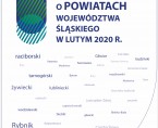 Wybrane dane krótkookresowe o powiatach województwa śląskiego w lutym 2020 r. Foto