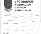 Wybrane dane krótkookresowe o powiatach województwa śląskiego w marcu 2020 r. Foto