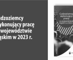 Cudzoziemcy wykonujący pracę w województwie śląskim w 2023 r. Foto