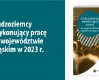 Cudzoziemcy wykonujący pracę w województwie śląskim w 2023 r. Foto