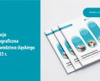 Sytuacja demograficzna województwa śląskiego w 2025 r. Foto