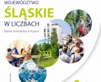 Województwo Śląskie w liczbach 2021 Foto