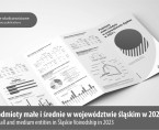 Podmioty małe i średnie w województwie śląskim w 2023 r. Foto
