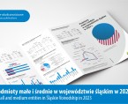 Podmioty małe i średnie w województwie śląskim w 2023 r. Foto