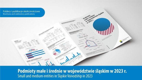 Podmioty małe i średnie w województwie śląskim w 2023 r. - okładka