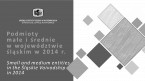 Podmioty małe i średnie w województwie śląskim w 2014 r. Foto