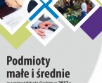 Podmioty małe i średnie w województwie śląskim w 2017 r. Foto