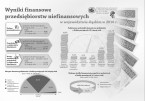 Wyniki finansowe  przedsiębiorstw niefinansowych  w województwie śląskim  w 2016 (infografika) Foto