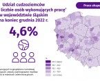 Cudzoziemcy wykonujący pracę w Polsce w 2022 roku Foto