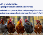 Przeprowadzamy badania statystyczne z zakresu rolnictwa: Badanie pogłowia świń oraz produkcji żywca wieprzowego oraz Badanie pogłowia drobiu oraz produkcji zwierzęcej Foto