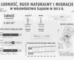 Ludność, ruch naturalny i migracje w województwie śląskim w 2013 r. Foto